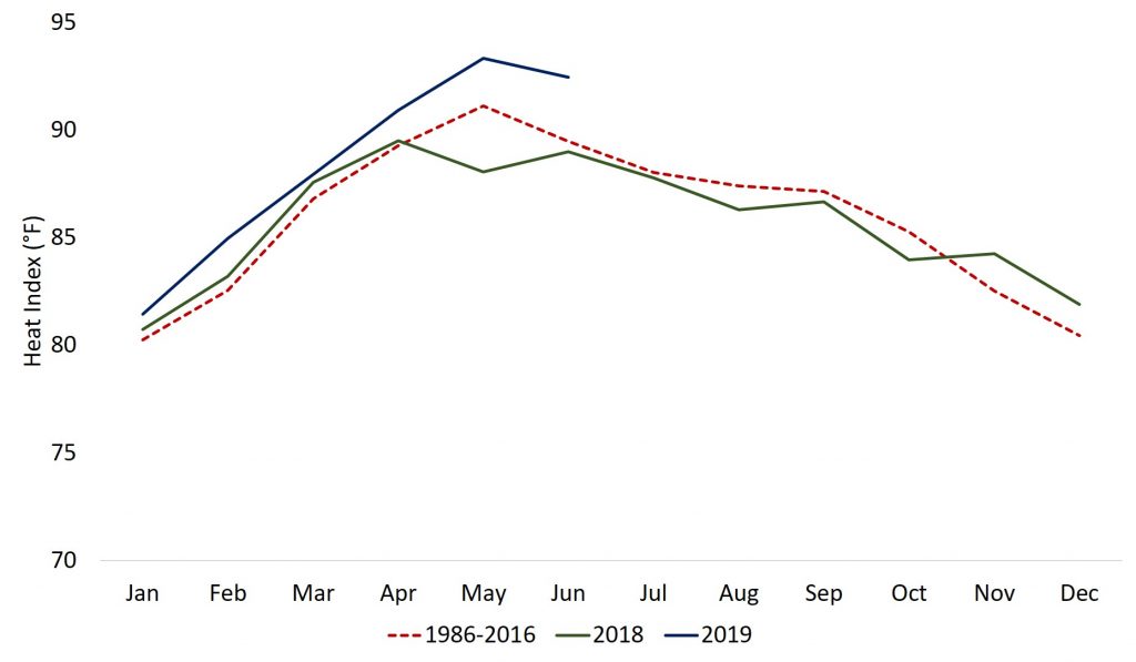 Monthly Temperatures Anomalies of Sri Lanka